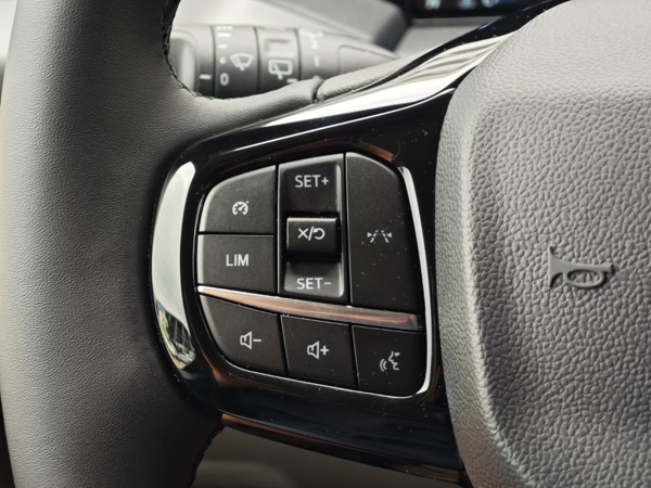 Ford Tourneo Custom Family L2 A8 2.0TDCi EcoBlue 100kW 31