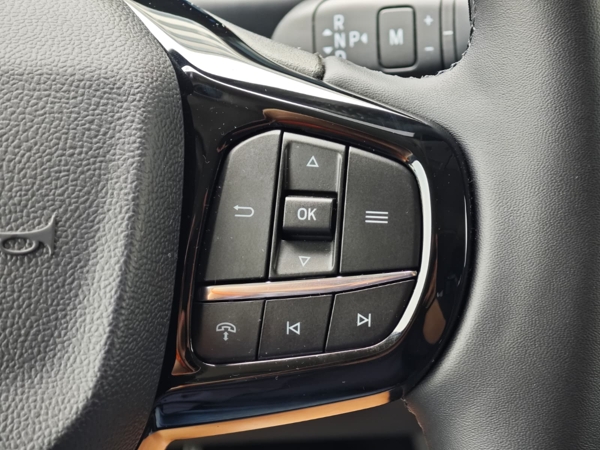 Ford Tourneo Custom Family L2 A8 2.0TDCi EcoBlue 100kW 32