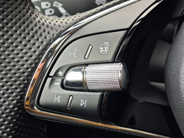 Škoda Kamiq Monte Carlo DSG TSI 81kW 24