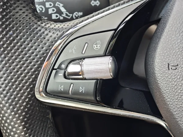 Škoda Kamiq Monte Carlo DSG TSI 81kW 25